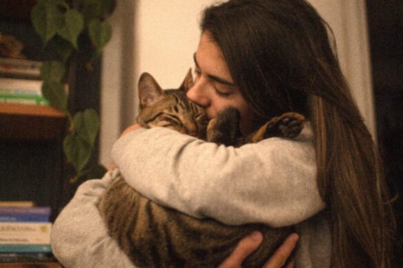 woman hugging cat woman hugging cat